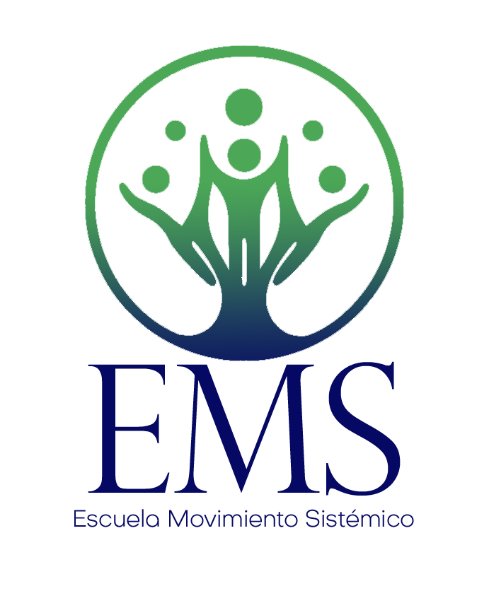 Escuela Movimiento Sist&eacute;mico